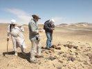 Egyptologist Prof. M. Verner, geoinformatist Ing. Vl. Brůna and the foreman of our workmen Ahmed el-Keréti documenting the mouth of an underground irrigation channel (manawar).